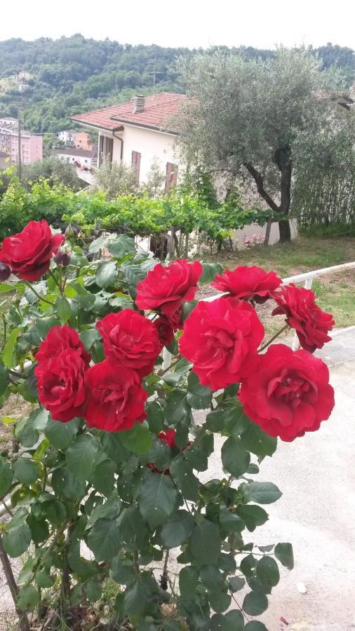 Casetta Del Nonno Bis Аркола Екстер'єр фото